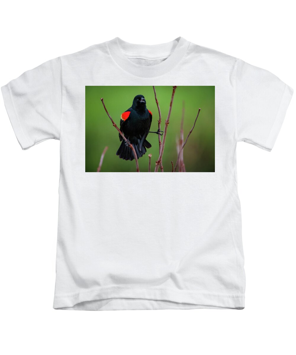 Missouri Kids T-Shirt featuring the photograph Red Winged Blackbird by Jeff Phillippi
