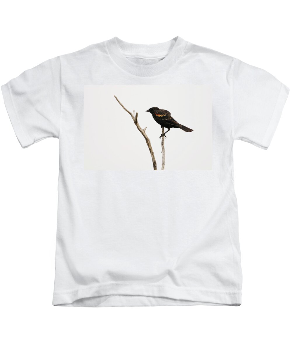 Red Winged Blackbird Kids T-Shirt featuring the photograph Red Winged Blackbird by Ryan Crouse
