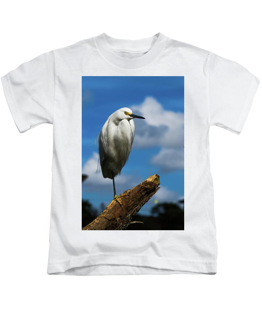 Snowy Egret Kids T-Shirt featuring the photograph Snowy Egret Deep Blue Sky by T Lynn Dodsworth