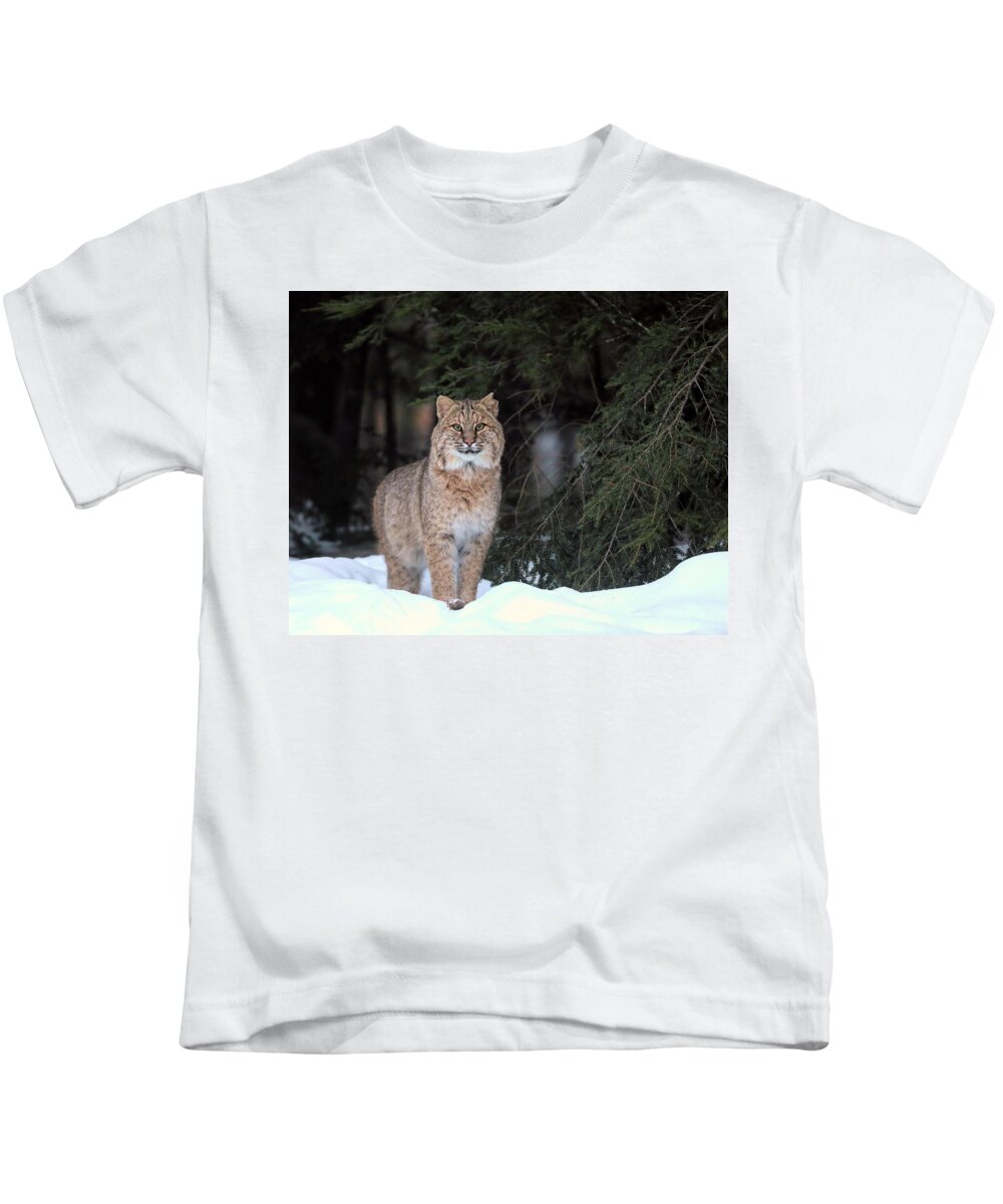 Bobcat Kids T-Shirt featuring the photograph The Bobcat Has a Mouse by Duane Cross