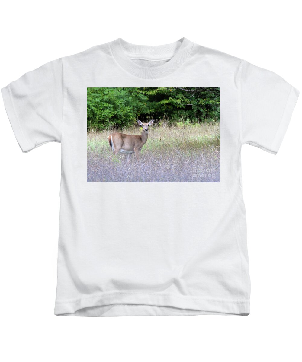 White Tale Deer Kids T-Shirt featuring the photograph White Tale Deer by Paula Guttilla