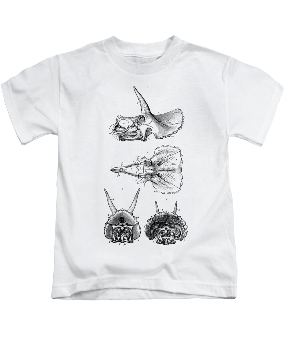 Sterrholophus Kids T-Shirt featuring the digital art Sterrholophus And Triceratops Skulls #2 by Madame Memento