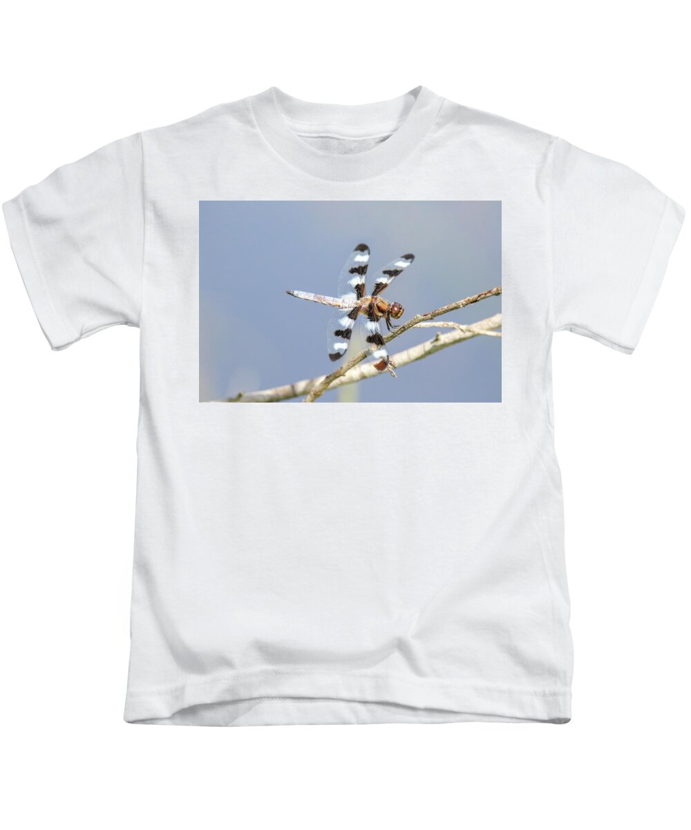 12 Spotted Skimmer Kids T-Shirt featuring the photograph 12 Spotted Skimmer Dragonfly by Brook Burling