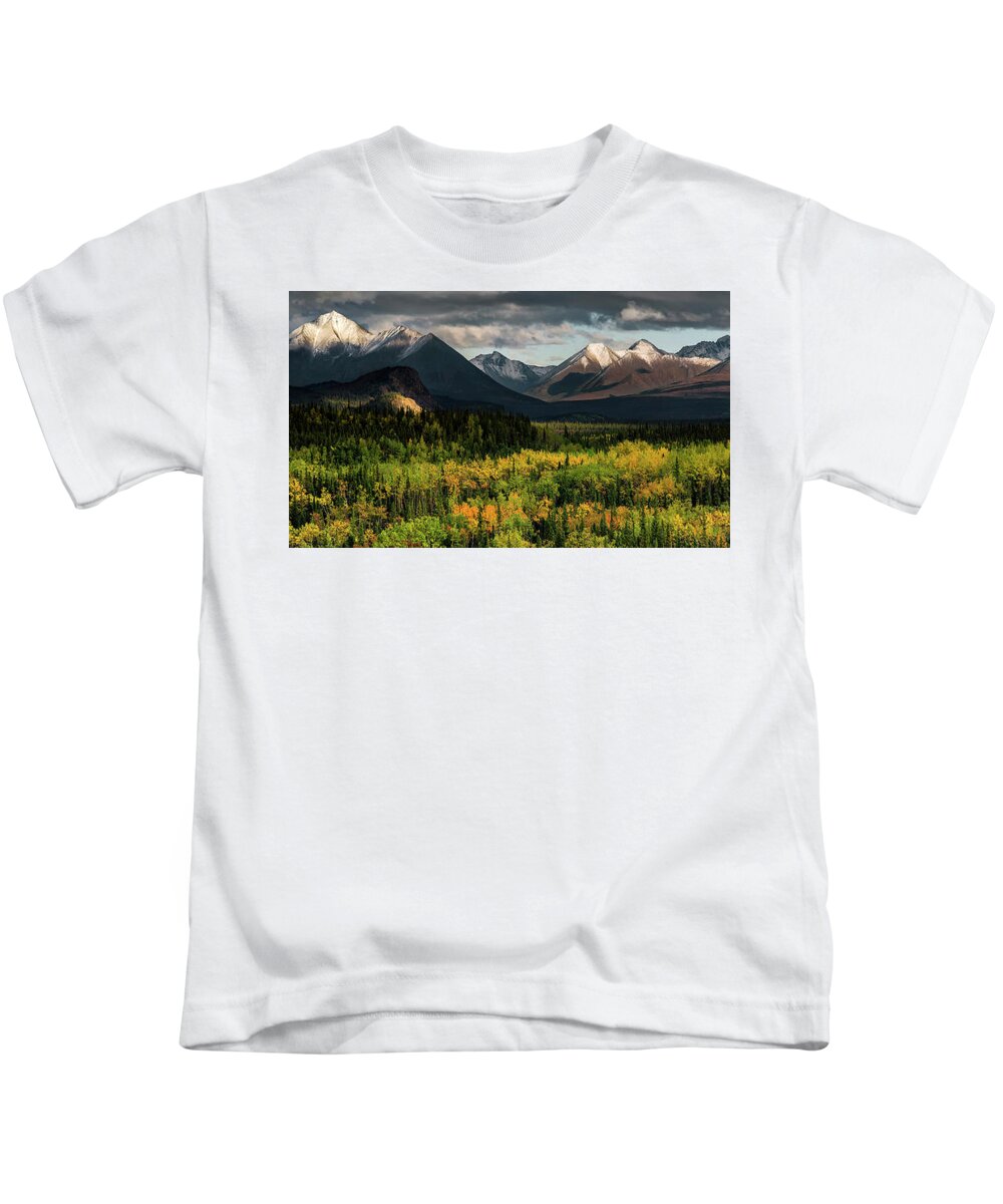 Alaska Kids T-Shirt featuring the photograph Alaska - autumn colors at Denali national park by Olivier Parent
