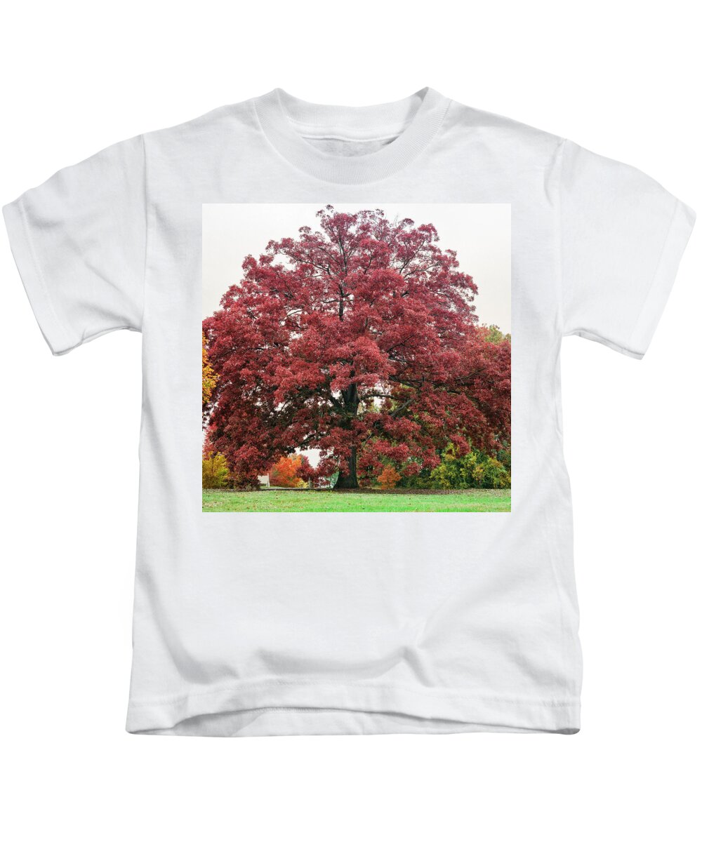 Washington D.c. Kids T-Shirt featuring the photograph Autumn In DC 10 by Robert Fawcett