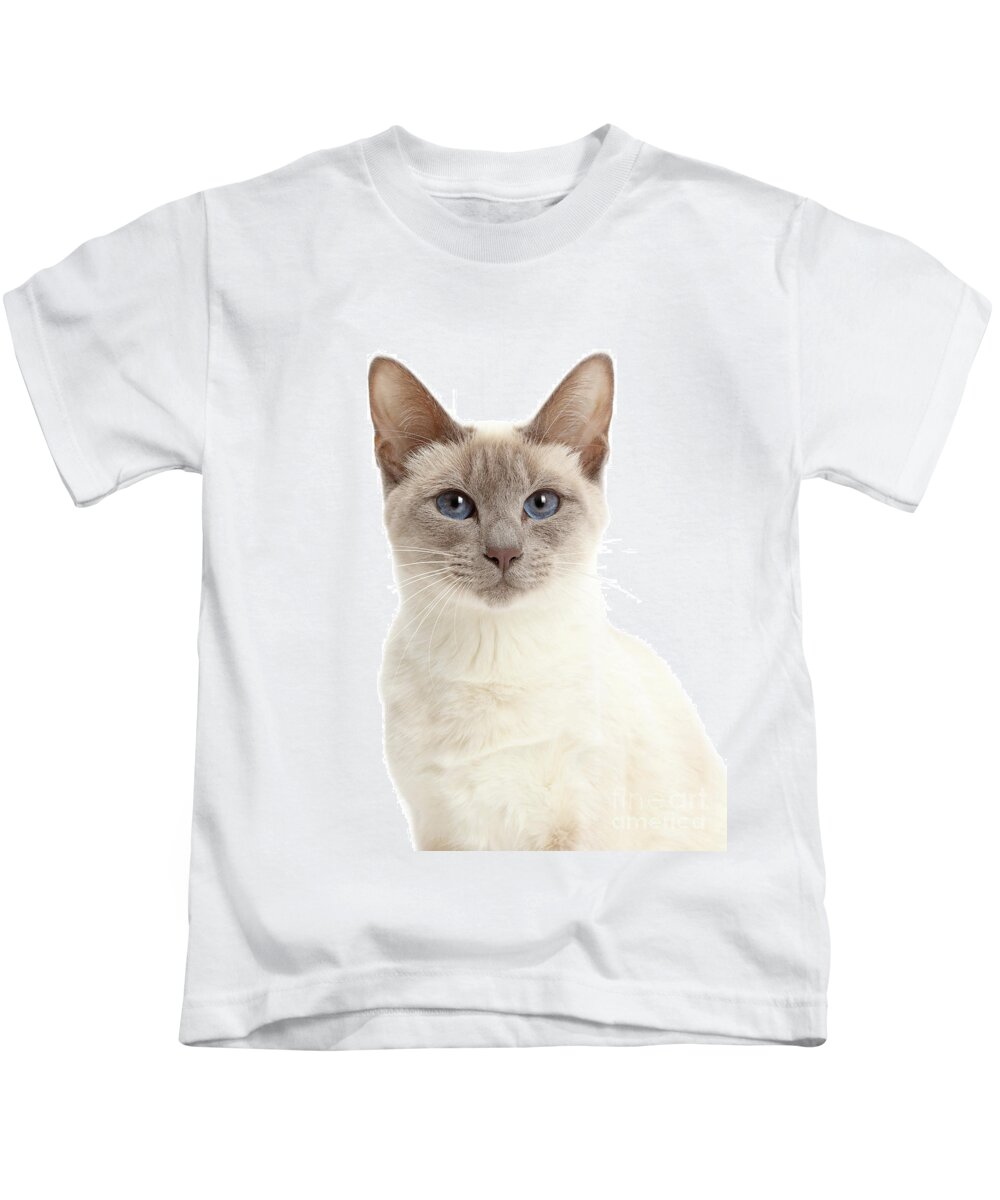 Blue Kids T-Shirt featuring the photograph Blue-point Birman-cross cat by Warren Photographic