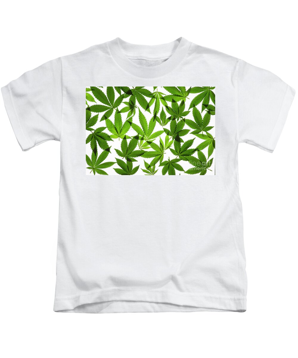 Cannabis Sativa Kids T-Shirt featuring the photograph Cannabis Leaves by Tim Gainey