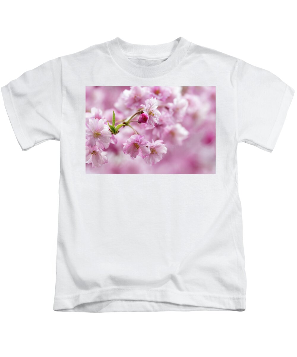 Flower Kids T-Shirt featuring the photograph Cherry Blossoms by Denise Kopko