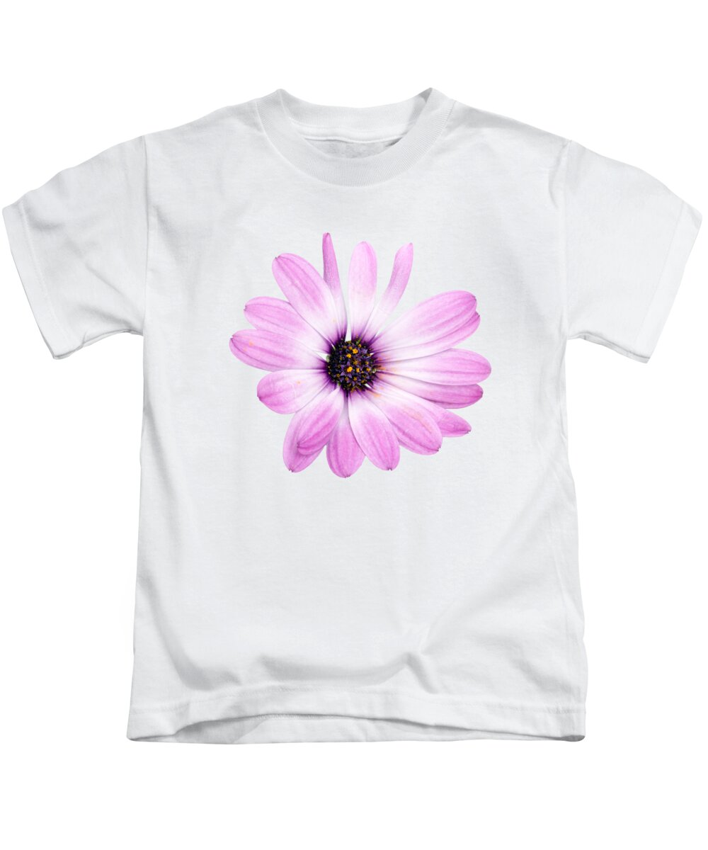 Daisybush Kids T-Shirt featuring the photograph Daisybush Osteospermum barberiae flowerhead - transparent by Viktor Wallon-Hars