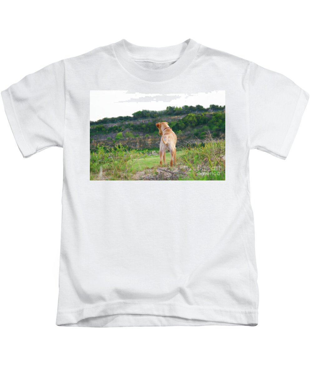 Dogs Kids T-Shirt featuring the photograph Doggie Adventure by Renee Spade Photography