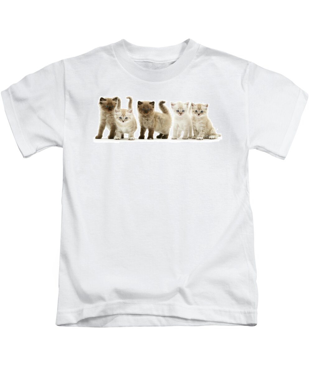Birman Kids T-Shirt featuring the photograph Five Birman-cross kittens by Warren Photographic