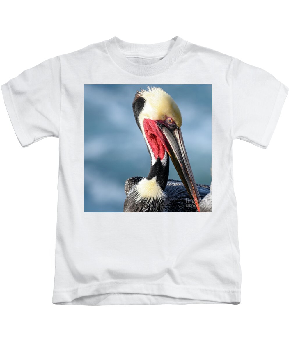 Pelican Kids T-Shirt featuring the photograph La Jolla Brown Pelican by Abigail Diane Photography