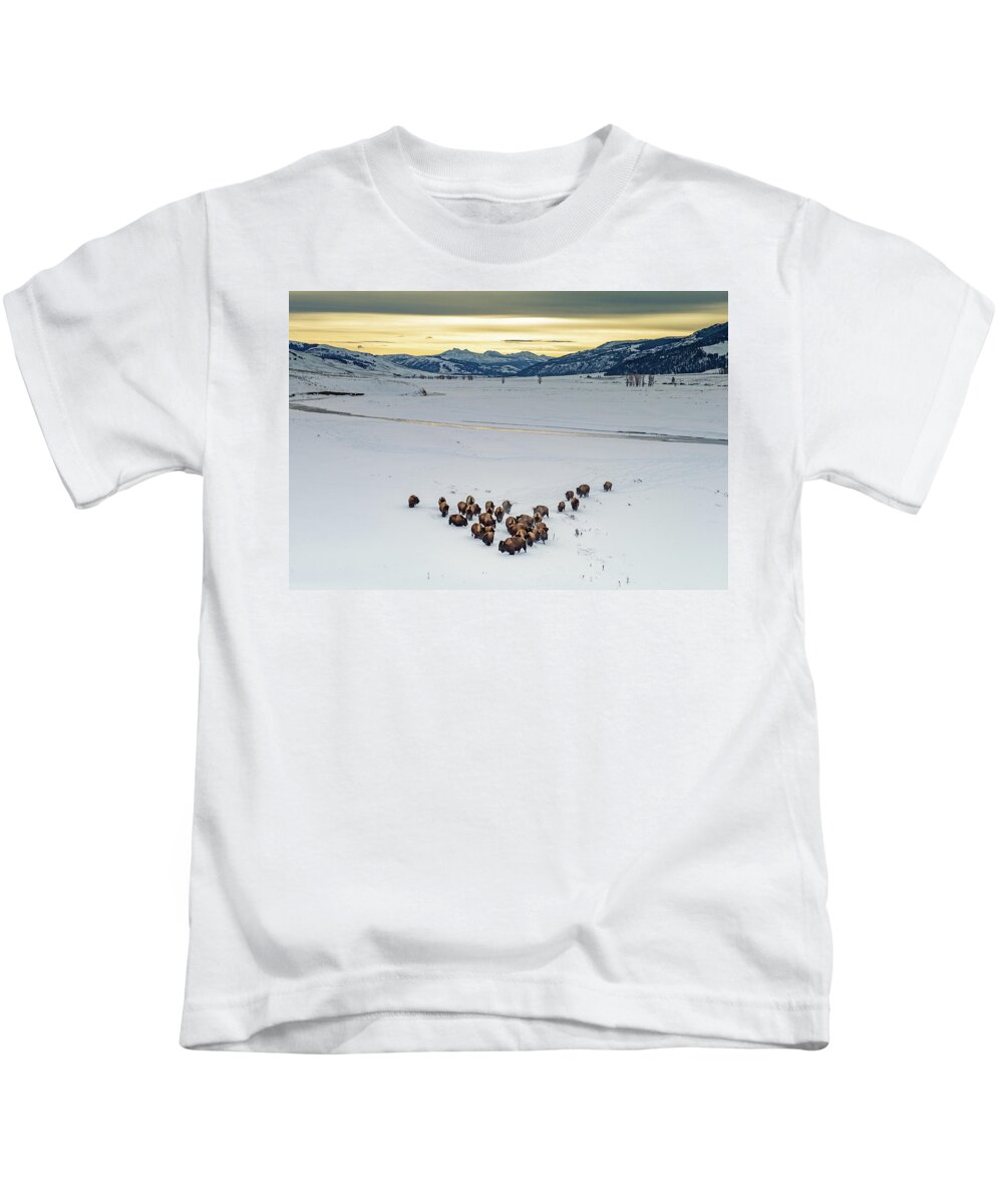 American Bison Kids T-Shirt featuring the photograph Lamar Bison Herd by Max Waugh