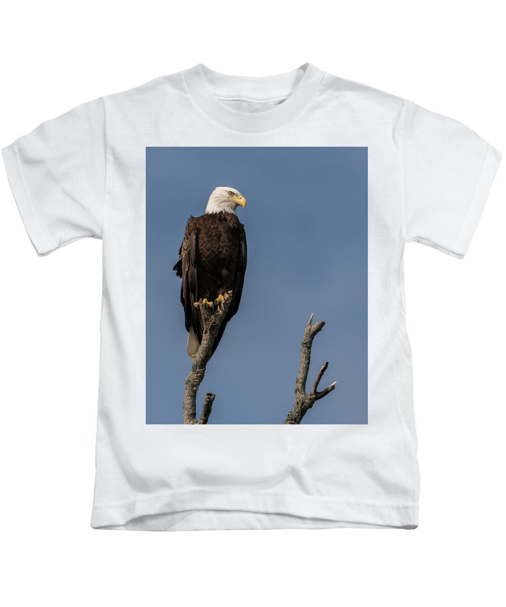 Bald Eagle Kids T-Shirt featuring the photograph Lookout by Linda Shannon Morgan