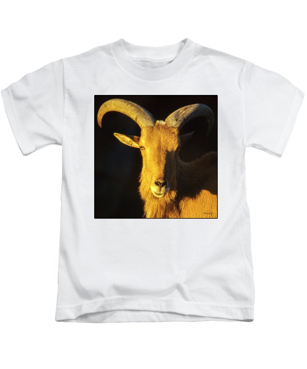 Australia Kids T-Shirt featuring the photograph Mountain Goat by Frank Lee