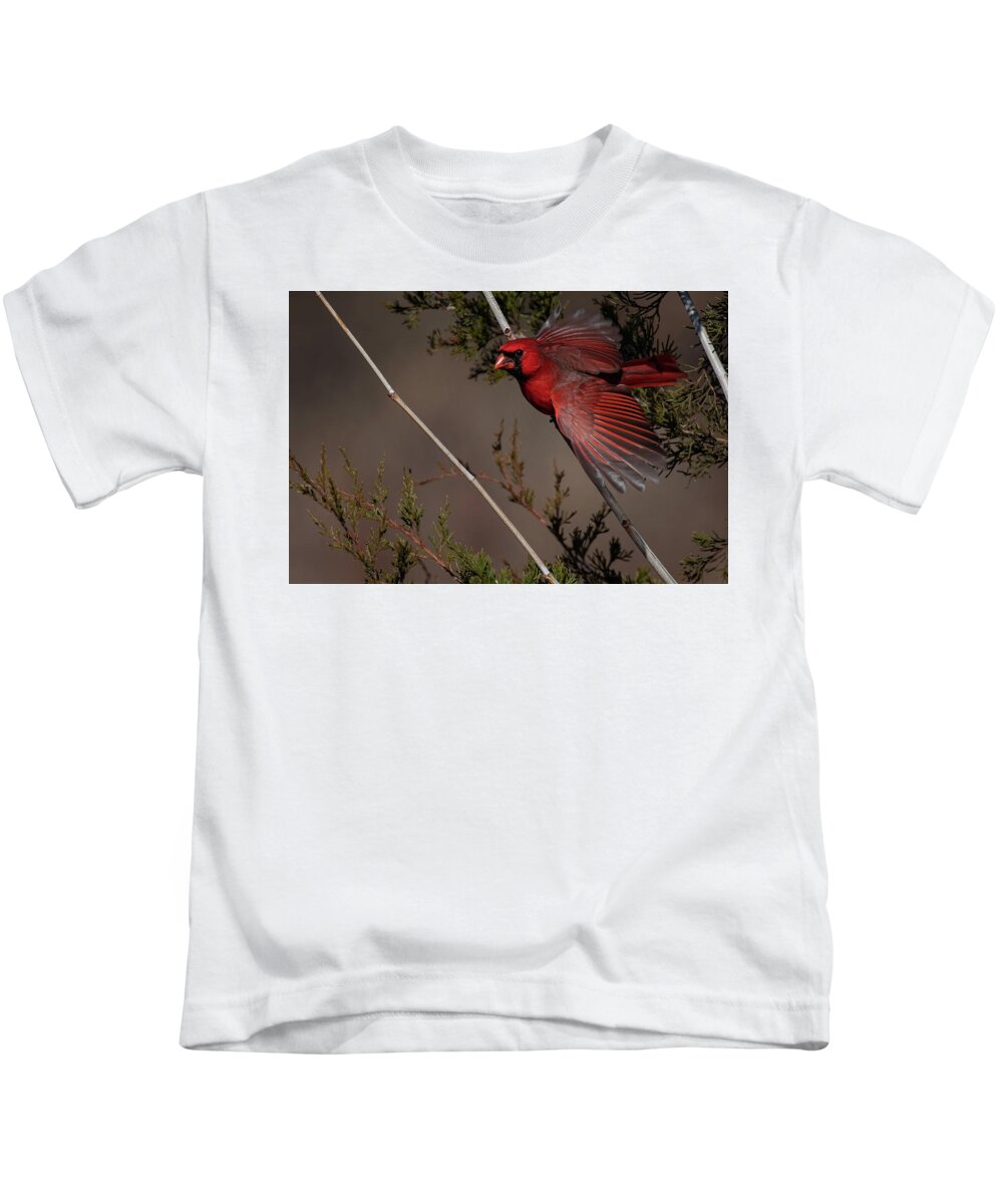 Nature Kids T-Shirt featuring the photograph On the Fly by Linda Shannon Morgan