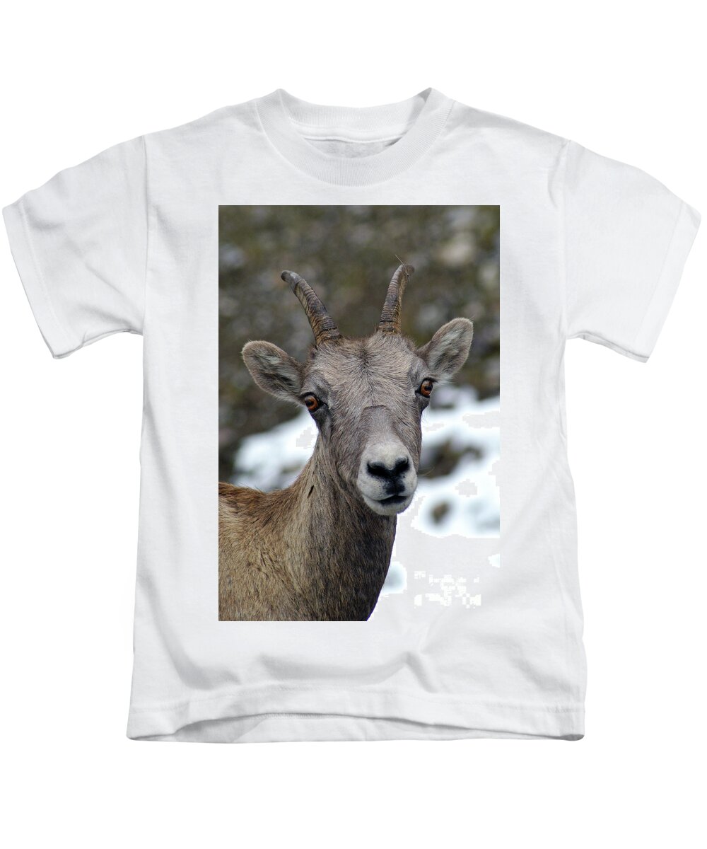 Alberta Kids T-Shirt featuring the photograph Posing by Paolo Signorini