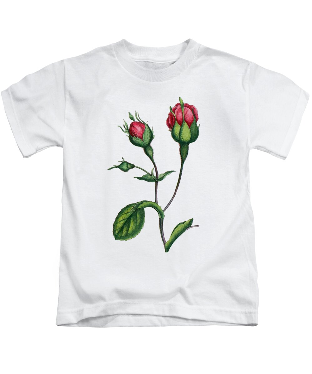 Rose Kids T-Shirt featuring the digital art Roses Decor by Madame Memento