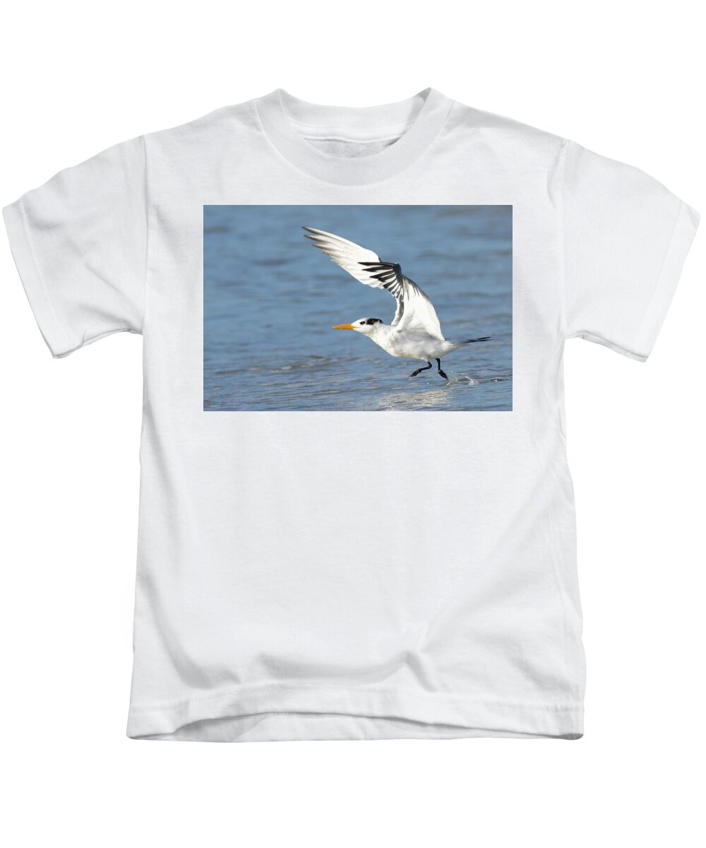 Tern Kids T-Shirt featuring the photograph Take Off by RD Allen