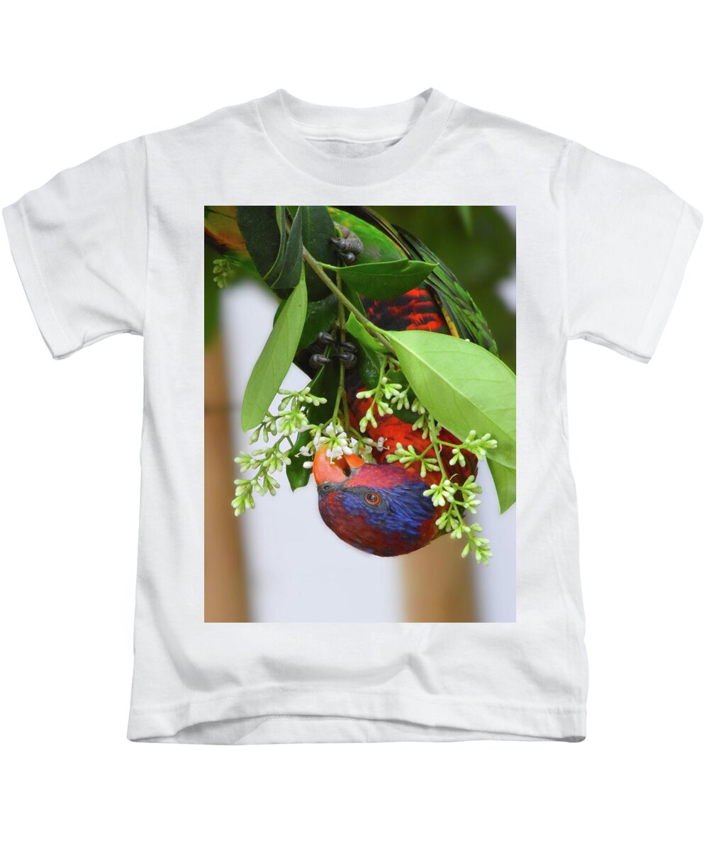 Bird Kids T-Shirt featuring the photograph Upside down Rainbow Lorikeet by Gareth Parkes
