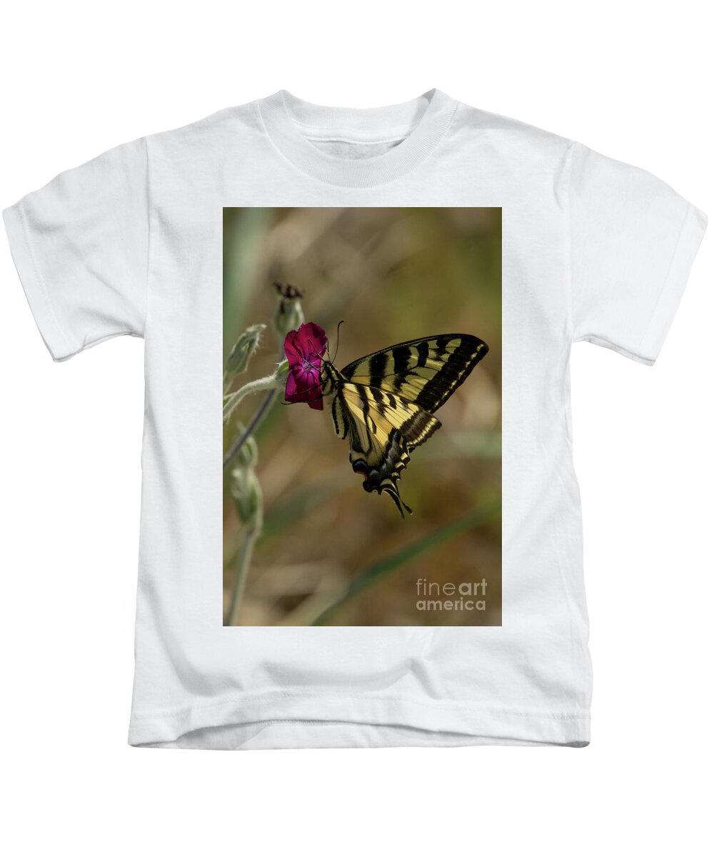 Western Tiger Swallowtail Kids T-Shirt featuring the photograph Western Tiger Swallowtail Butterfly Clings to Wildflower #2 by Nancy Gleason