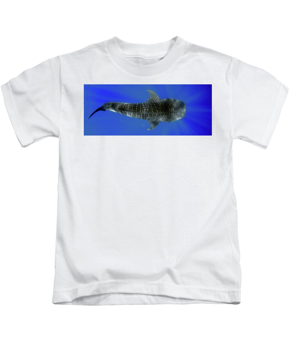 Whale Shark Kids T-Shirt featuring the photograph Whale shark by Artesub