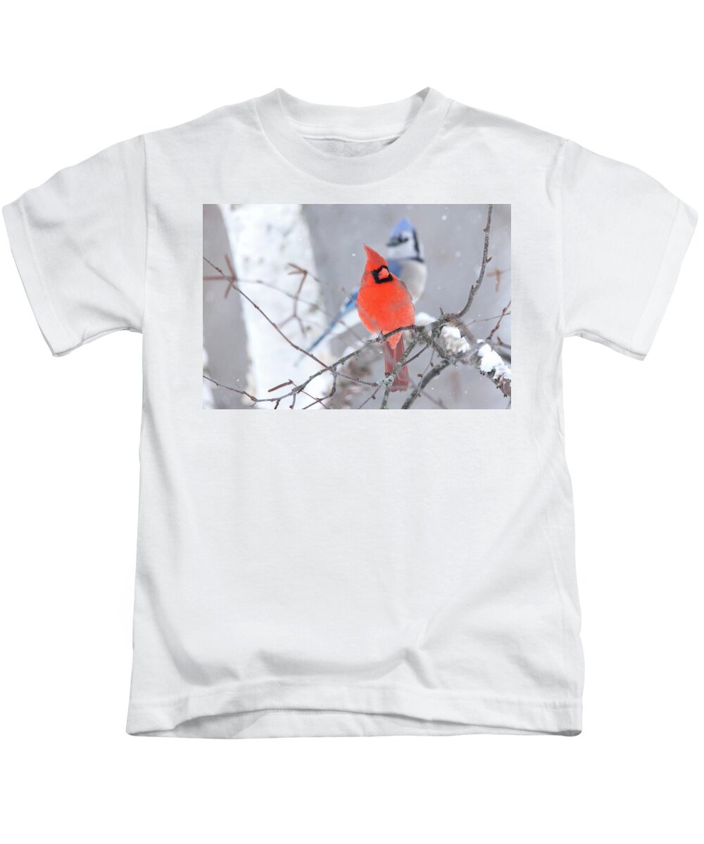 Winter Kids T-Shirt featuring the photograph Winter Cardinal and Bluejay by Brook Burling