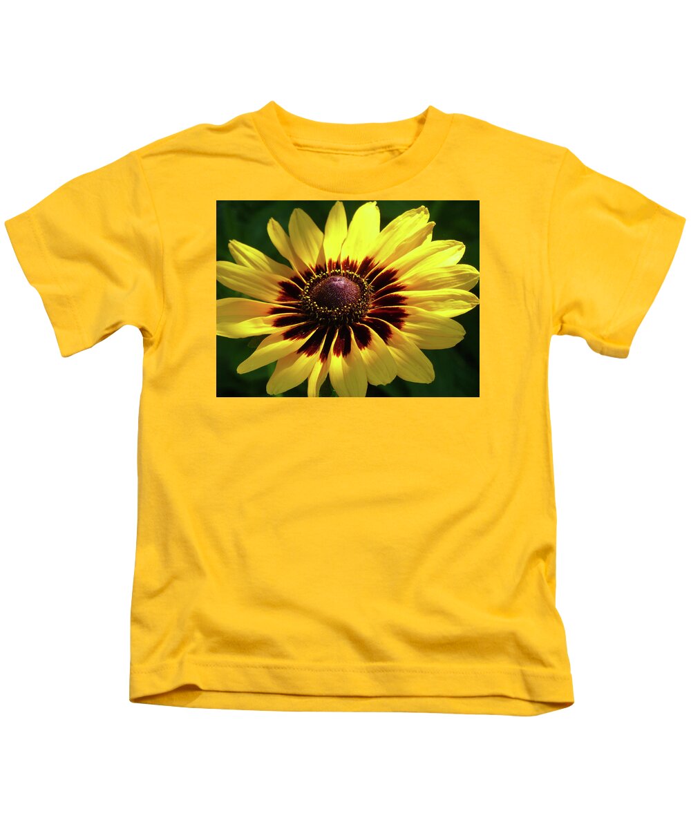 Flowers Kids T-Shirt featuring the photograph Denver Daisy by Cris Fulton