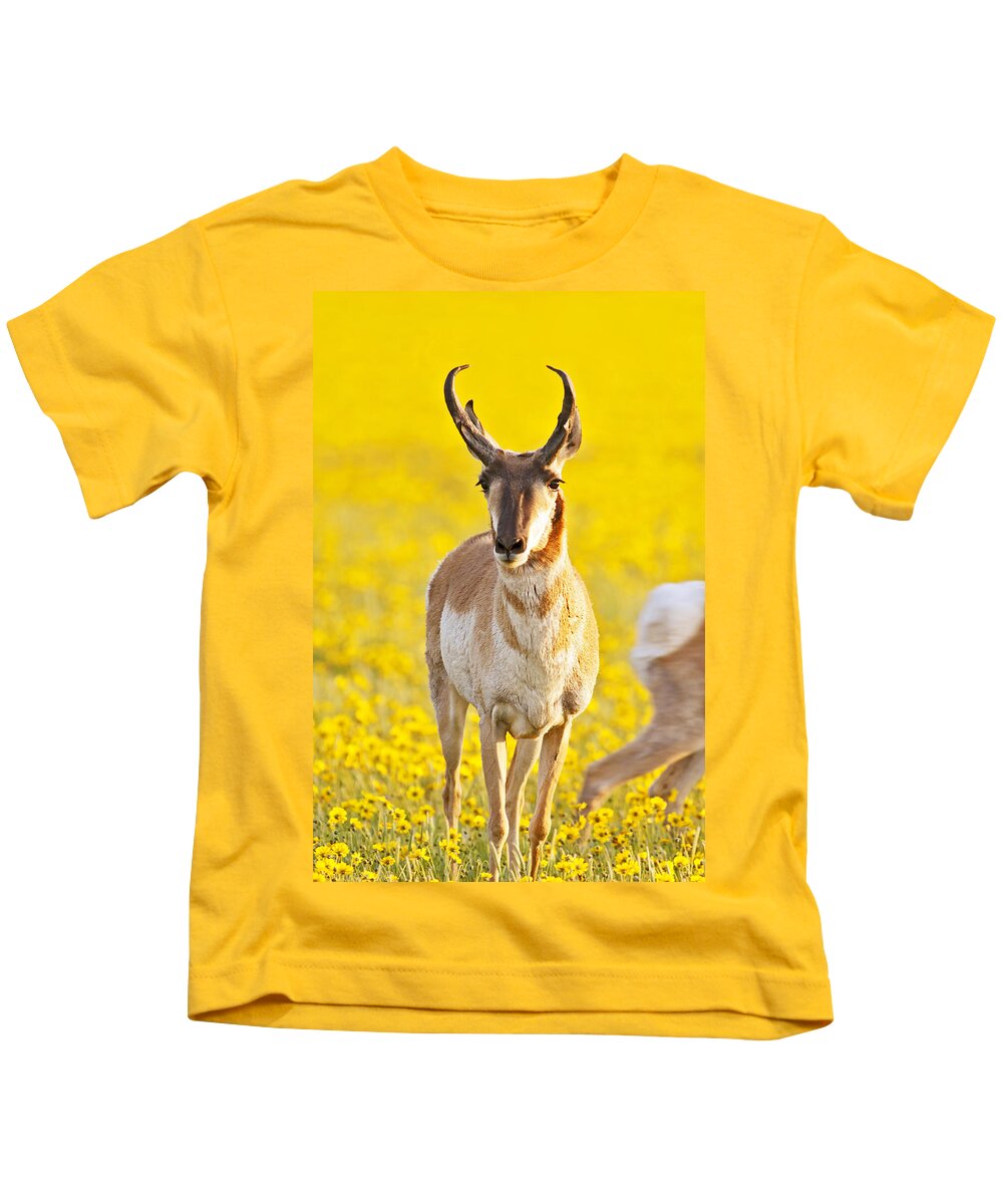 Antelope Kids T-Shirt featuring the photograph Male Antelope in Spring Wildflowers by Gary Langley
