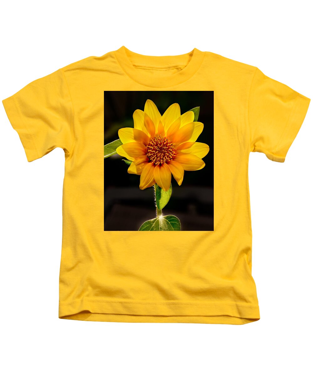Sunflower Photo Kids T-Shirt featuring the photograph Sunflower Sunbeam Print by Gwen Gibson