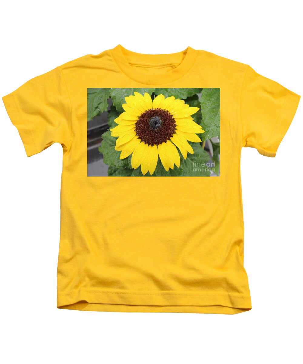 Sun Flower With Rain Dew Drops Kids T-Shirt featuring the photograph Sun Flower With Rain Dew Drops by Barbra Telfer