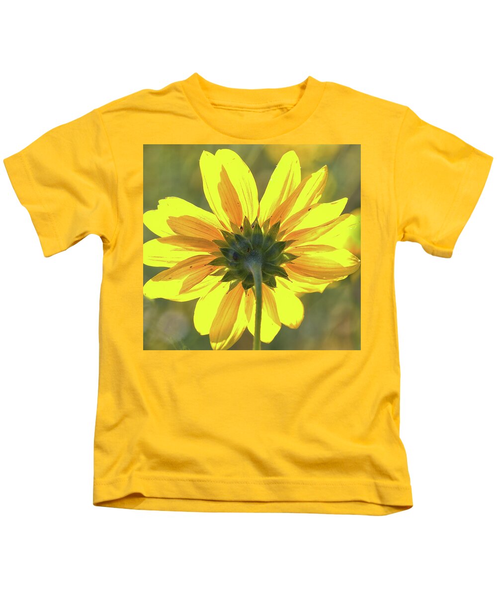 Sunflower Kids T-Shirt featuring the photograph Facing the sun by Bob Falcone