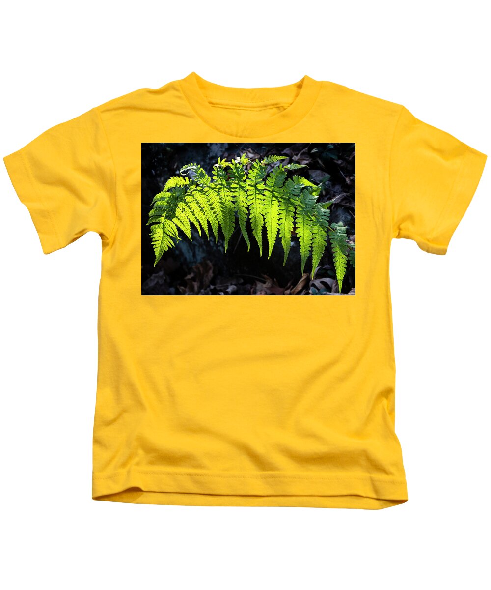 Fern Kids T-Shirt featuring the photograph Fern and Sunshine by Carol Senske