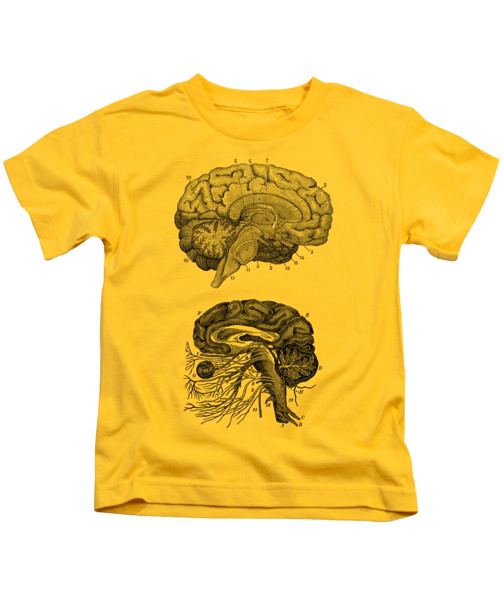 Brain Kids T-Shirt featuring the drawing Human Brain - Central Nervous System - Vintage Anatomy Print 2 by Vintage Anatomy Prints