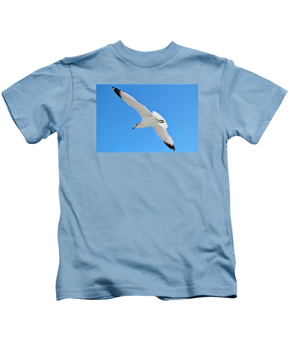 Seagull Kids T-Shirt featuring the photograph A Beautiful Seagull by Cynthia Guinn