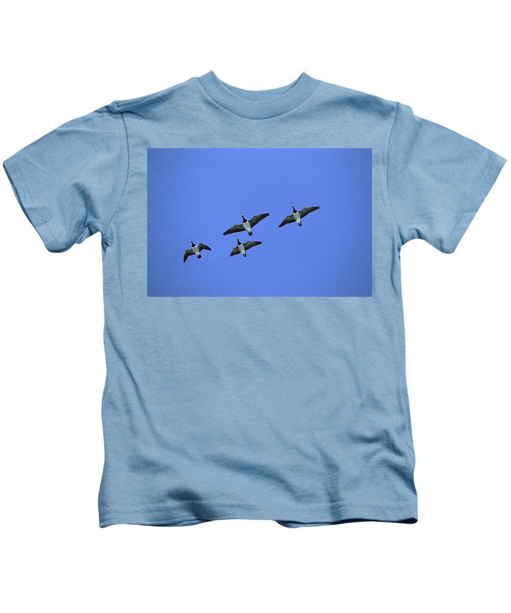 Feb0514 Kids T-Shirt featuring the photograph Barnacle Goose Flock Flying by Konrad Wothe