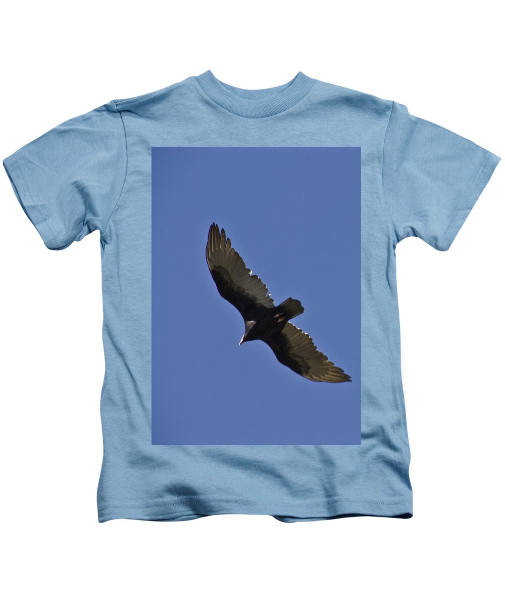 Eagle Photographs Kids T-Shirt featuring the photograph Free Bird by Vernis Maxwell
