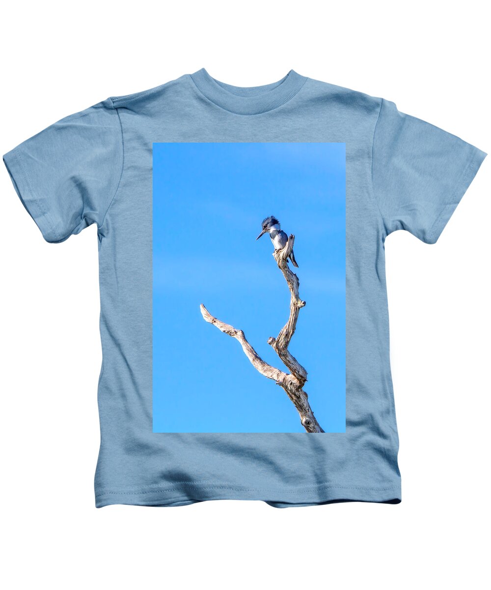 Kingfisher Perch Kids T-Shirt by Mark Andrew Thomas - Mark Andrew