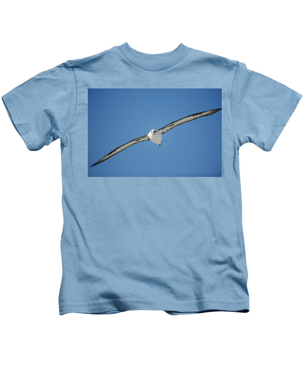 Feb0514 Kids T-Shirt featuring the photograph Laysan Albatross Soaring Hawaii by Tui De Roy