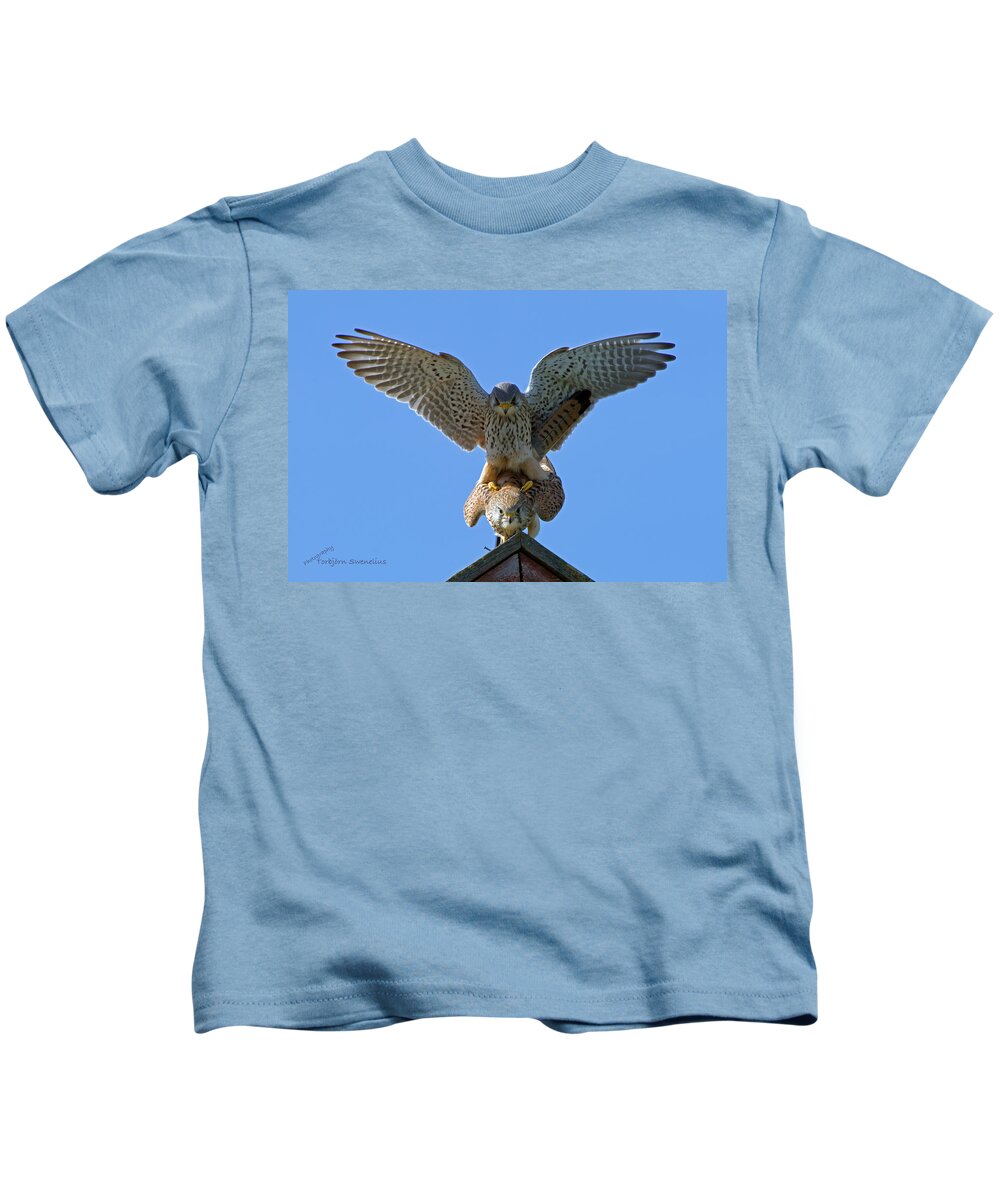 Mating Kestrels Kids T-Shirt featuring the photograph Mating Kestrels by Torbjorn Swenelius