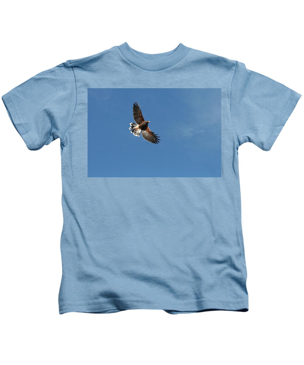 Harris Hawk Kids T-Shirt featuring the photograph On the wing by David S Reynolds