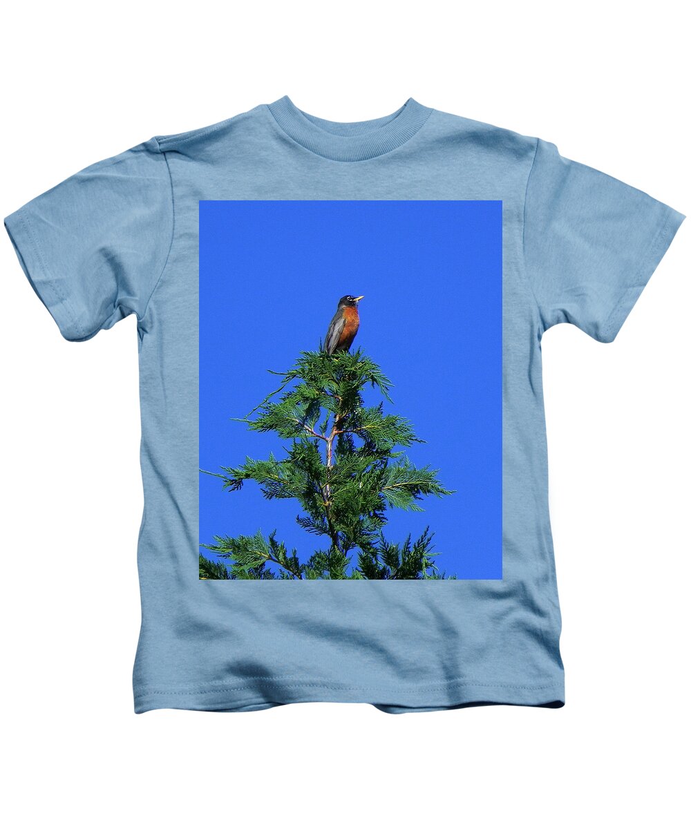 Robin Kids T-Shirt featuring the photograph Robin Christmas Tree Topper by Bill Swartwout