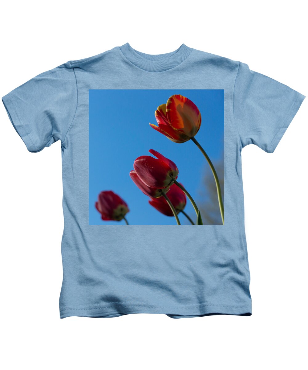 Tulip Kids T-Shirt featuring the photograph Tulips on Blue by Photographic Arts And Design Studio
