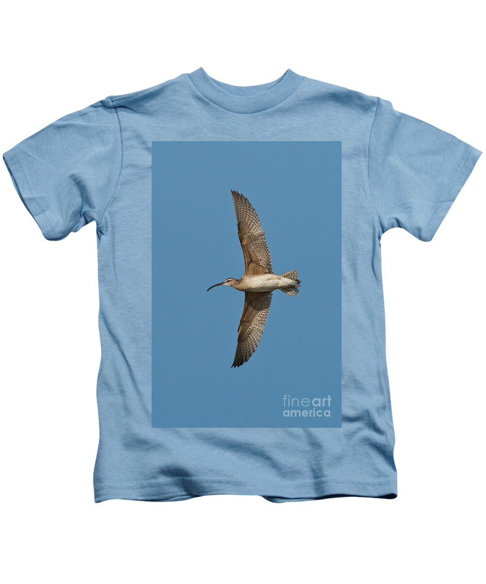 Fauna Kids T-Shirt featuring the photograph Whimbrel In Flight by Anthony Mercieca