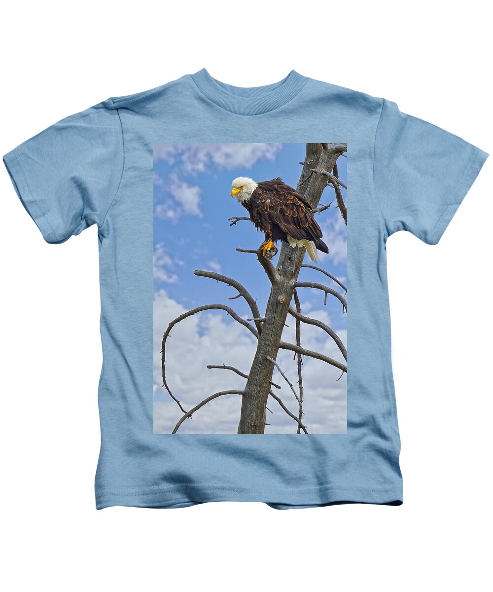 American Kids T-Shirt featuring the photograph American Bald Eagle in Yellowstone by Fred J Lord