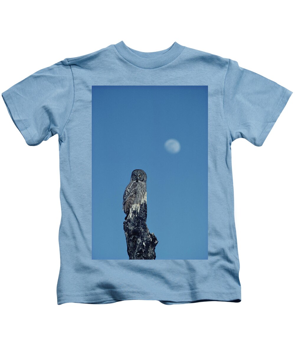 Mp Kids T-Shirt featuring the photograph Great Gray Owl Strix Nebulosa Adult by Michael Quinton