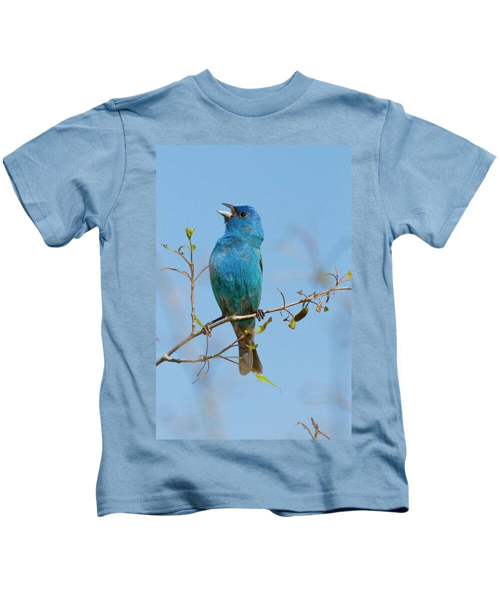 Mp Kids T-Shirt featuring the photograph Indigo Bunting Passerina Cyanea Male by Steve Gettle