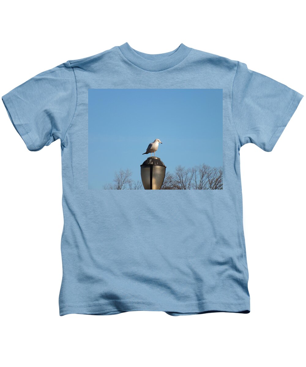 Nature Kids T-Shirt featuring the photograph Bird on a Lamp Post by Nicholas Small