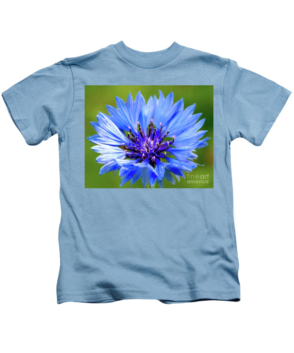 Macro Kids T-Shirt featuring the photograph Blue Cornflower by Stephen Melia