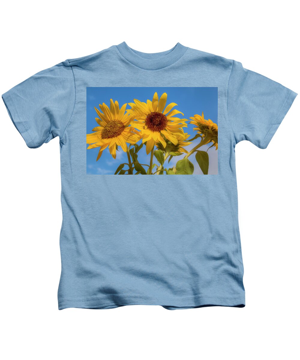 Asteraceae Kids T-Shirt featuring the photograph Bouquet of Sunshine 0692 by Kristina Rinell